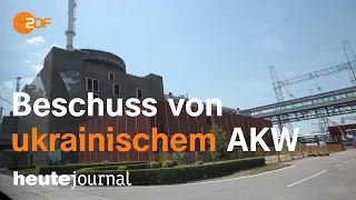 heute journal vom 06.08.22 AKW-Beschuss, Ukrainekrieg, Nahostkonflikt, Extremismus  (українською)