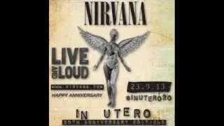 Nirvana - In Utero B-Sides (Full Outtakes)