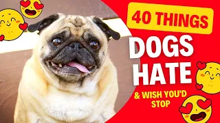 40 Things Dogs Hate and Wish You'd Stop Doing (Full Video)