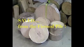 Special Woodturning Project / BIG Wood Bowl Blanks salvaged from Firewood Pile.