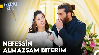 Harika Bir Düğün Fotoğrafı Nasıl Çekilir? - Erkenci Kuş