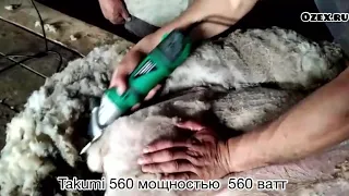 Машинка для стрижки овец Такуми 560 - работа в  Калмыкии