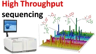 High throughput sequencing