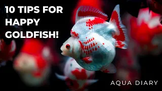 Top 10 Secrets For Keeping Your Goldfish Happy!