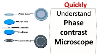 Phase contrast microscope