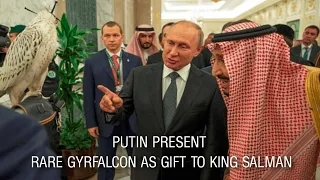 Russia President Vladimir Putin Present Rare Gyrfalcon As Gift To King Salman Of Saudi Arabia