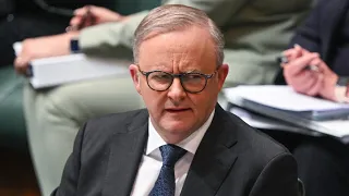 Australians ‘can’t believe a word’ Anthony Albanese says: Bronwyn Bishop