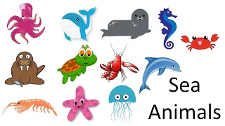 Sea Animals | Shark | Dolphin | Starfish | Turtle | Jellyfish | Octopus | Seahorse | Smart Kids