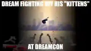 twitchcon be like