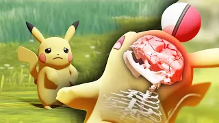 Pokémon Secret Critical Catch Animation