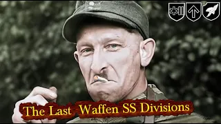 The 3 Worst and Most Precarious Divisions of the German Waffen SS