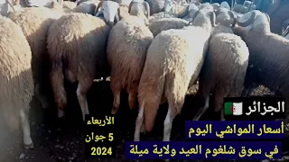 أسعار المواشي اليوم في سوق شلغوم العيد ولاية ميلة الجزائر/الأربعاء 5 جوان 2024