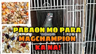 PAGHAHANDA SA FINAL LAP! MGA PABAON AT VITAMINS NG KALAPATI PARA SA DERVY