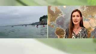 Top Channel/ Në plazh edhe nën shi. Vlorë, deti me dallgë kthehet në argëtim për pushuesit