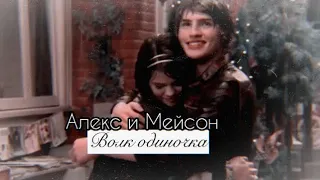 •Alex & Mason || Волк одиночка || Волшебники из Вэйверли Плейс