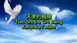 tian shi de chi bang / karaoke male