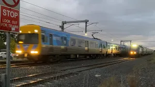 An XPT and a Comeng parallel at Coolaroo