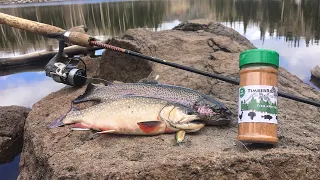 Exploring Small Mountain Ponds for Rainbow and Brook Trout!! (Catch n’ Cook)