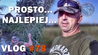 POSZUKIWANIA sierpniowych OKONI| Rzeczny spinning| Vlog #78