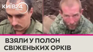 "Свіженькі орки" - українські воїни взяли у полон двох мовчазних окупантів