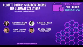 Climate Policy: Is Carbon Pricing the Ultimate Solution?