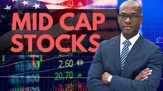 Top 5 Mid Cap Stocks For Long Term