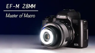 This Lens is Incredible: The Canon EF-M 28mm f3.5 IS STM Macro