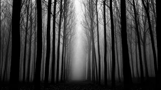 Когда в черный лес ? Stay out / stalker online / EU1