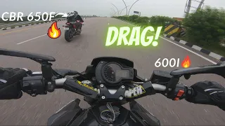 CBR 650F VS BENELLI 600i DRAG RACE | 650cc Vs 600cc🔥