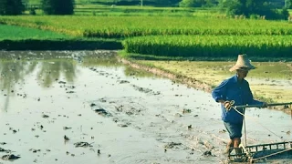 DIARIOS DE VIAJE - Yunnan