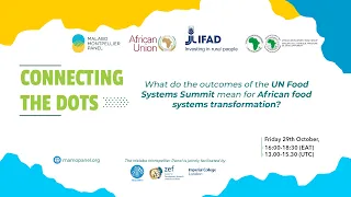 What do the outcomes of the UNFSS mean for African food systems transformation?