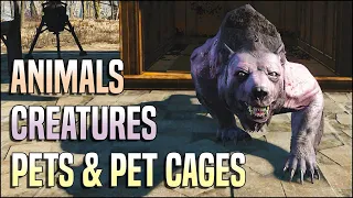 Animals, Creatures, Pets & Pet Cages 🐻 Fallout 4 No Mods Shop Class