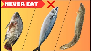 7 Types of FISH You Should NEVER EAT