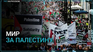 Многотысячные митинги в поддержку Палестины прошли по всему миру