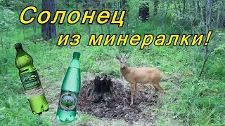 Солонец из Минералки. Такого я не ожидал....