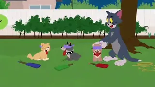 Tom and Jerry Show S 01 E 05 C - BIRTHDAY BASHED |LOOcaa|