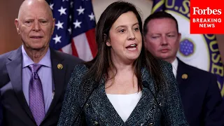 Elise Stefanik: 'Democrats Are Shredding The Constitution' In Attempts To Block Trump From Ballot