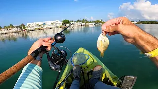 THIS DEAD BAIT Gets Smoked By Tarpon - Florida Keys Fishing