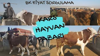 MUHTEŞEM HAYVANLARLA KARS PAZARI  #karshayvanpazari2023 #2023kurbanlık  #kurbanlik #animal #cows