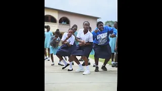 TERMINATOR - KING PROMISE DANCE VIDEO BY GABRIELA AND FRIENDS @Dwpacademyworld @kingpromiseofficial