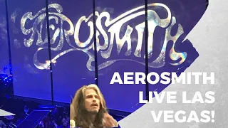 AEROSMITH IN CONCERT IT WAS MIND BLOWING ALL 5 ORIGINAL MEMBERS#aerosmith #concert #backinthesaddle