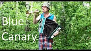 Blue Сanary (Грустная канарейка)--- cover --- accordion (bayan), flute, trumpet