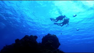 Scuba Diving | Cozumel 2021