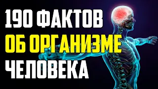 190 СТРАННЫХ ФАКТОВ О ЧЕЛОВЕЧЕСКОМ ОРГАНИЗМЕ