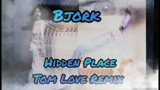 Bjork - Hidden Place (Tom Love Remix) (2023)