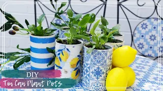 DIY Tin Can Plant Pots | Transforming Tin Cans into Planters | Upcycle Your Rubbish