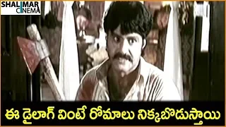 Balakrishna Powerful Dialogue Scene || Best Dialogue Scenes || Shalimarcinema