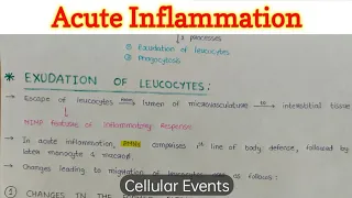 Acute Inflammation (2/4) | Cellular Events