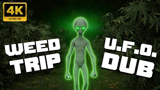 Weed Trip | The Aliens Walk Amoug Cannabis Fields | U.F.O. Sativa Dub