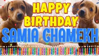 Happy Birthday Samia Chamekh! ( Funny Talking Dogs ) What Is Free On My Birthday